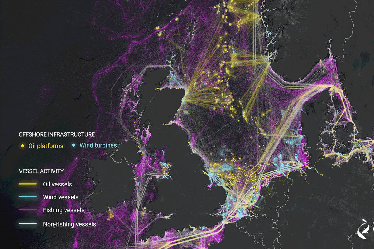 L’incredibile mappa satellitare che grazie all’AI mostra “l’affollamento” degli oceani